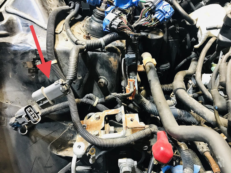 Rywire 97–01 Honda Prelude (Auto) Chassis-spezifischer Adapter (zweipoligen Kernstecker an Rywire senden)
