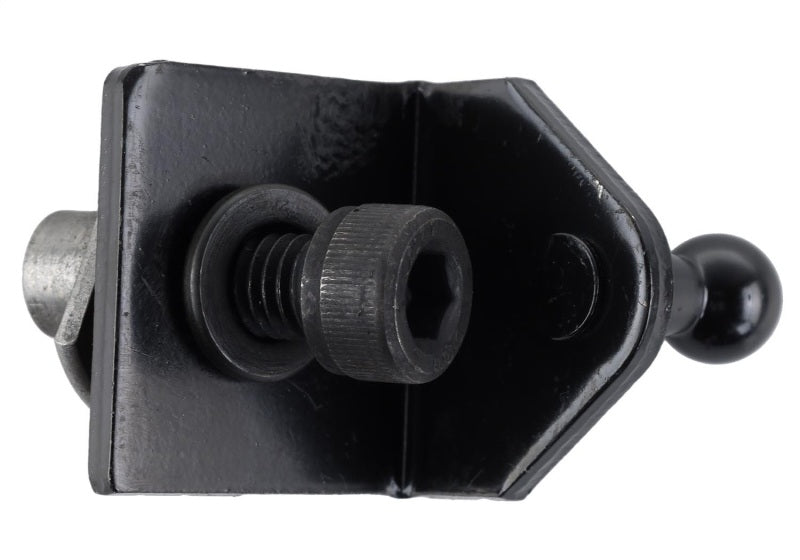 Ford Racing 15-23 Ford Mustang Motorhaubenlift-Kit mit Lasergravur des Ford-Logos (außer GT350/GT350R)