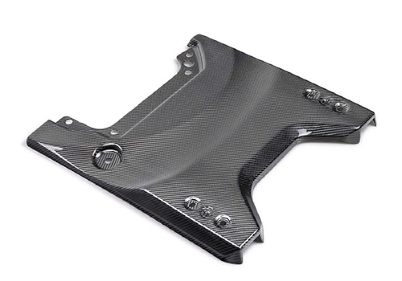 Ford Racing 22–24 Bronco Raptor Carbon Fiver Heckklappen-Applikation – glänzend