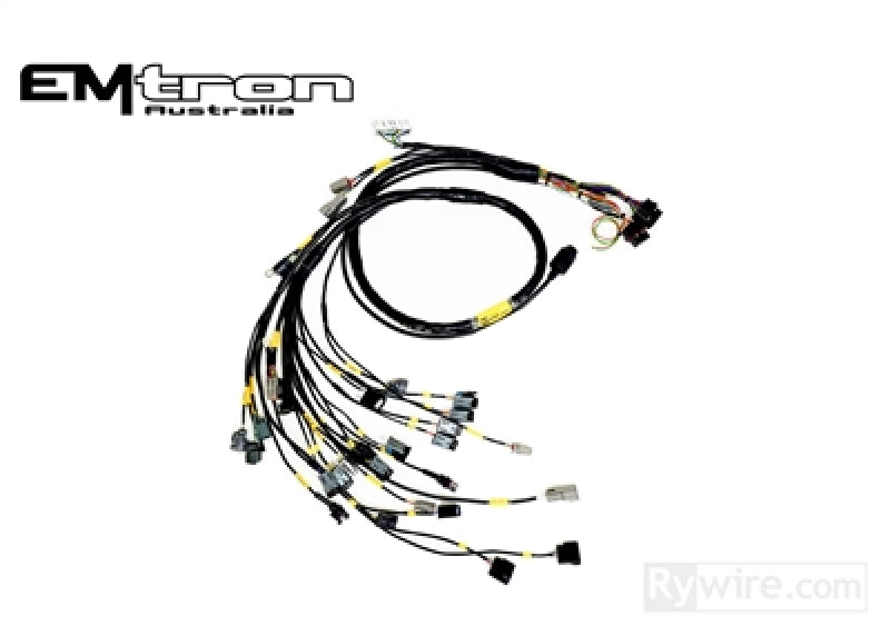 Rywire Honda B-Serie (mit MTron KV8 ECU) Eng Harn mit OBD1 Alt/EV14 Inj/AEM IAT & MAP (Adapter erforderlich)
