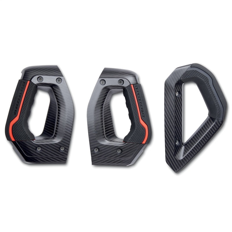 Ford Racing 21-23 Bronco Haltegriff-Kit aus Kohlefaser