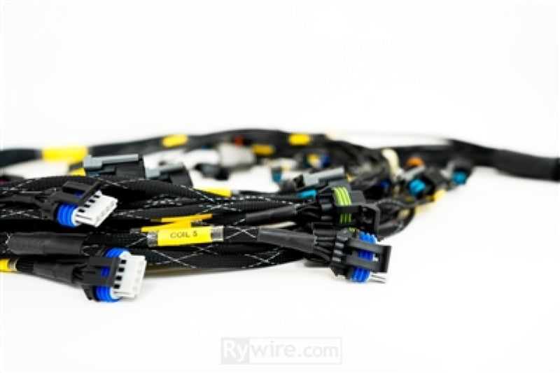 Rywire GM LS3 V8 E38 ECU-Motorkabelbaum mit Bosch MAP-Option (PDM/Sicherungskasten/Gegenstecker erforderlich)