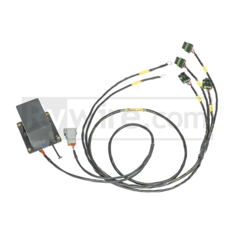 Rywire IGBT (AEM/IGN-1A) Spulen-Unterkabelbaum für 2 Rotormotoren