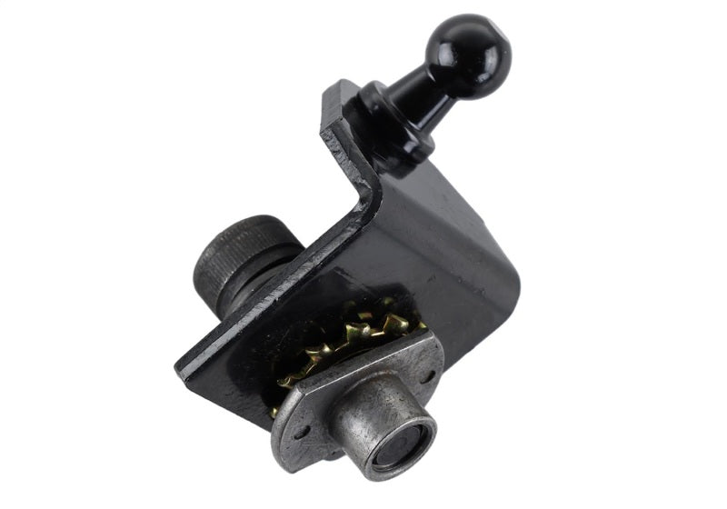 Ford Racing 15-23 Ford Mustang Motorhaubenlift-Kit mit Lasergravur des Ford-Logos (außer GT350/GT350R)