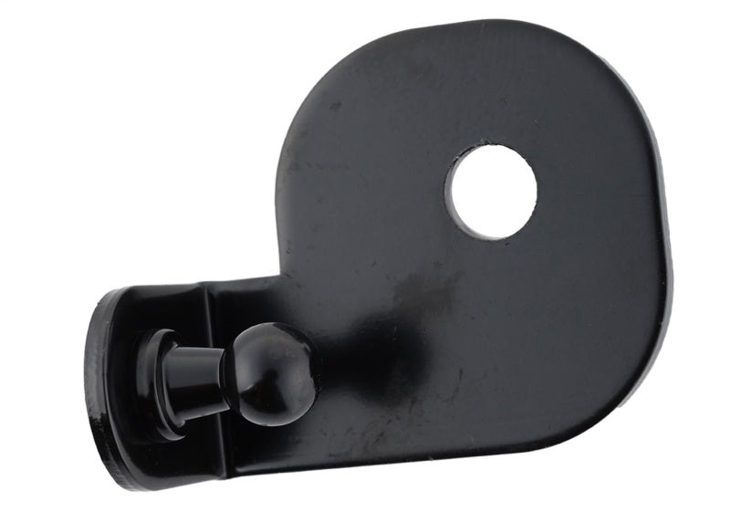 Ford Racing 15-23 Ford Mustang Motorhaubenlift-Kit mit Lasergravur des Ford-Logos (außer GT350/GT350R)