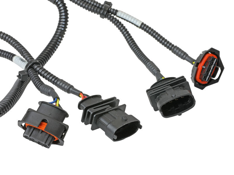 aFe Scorcher-Modul 14-19 Ford Fiesta ST L4-1.6L