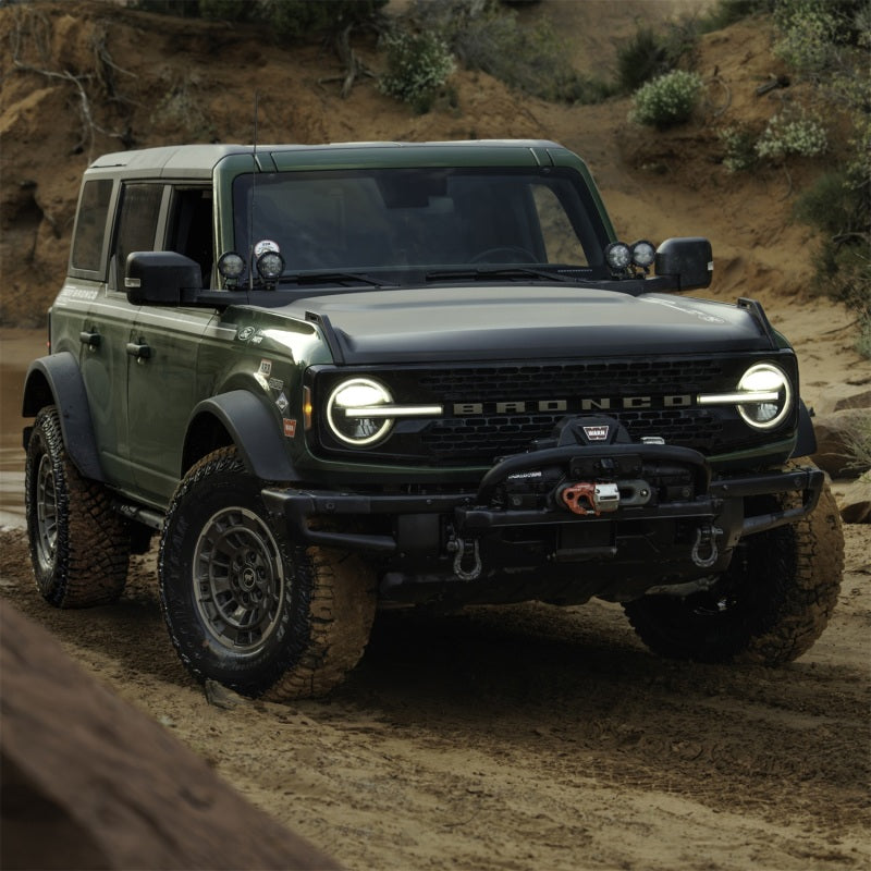 Ford Racing Epic D-Ring-Schäkel