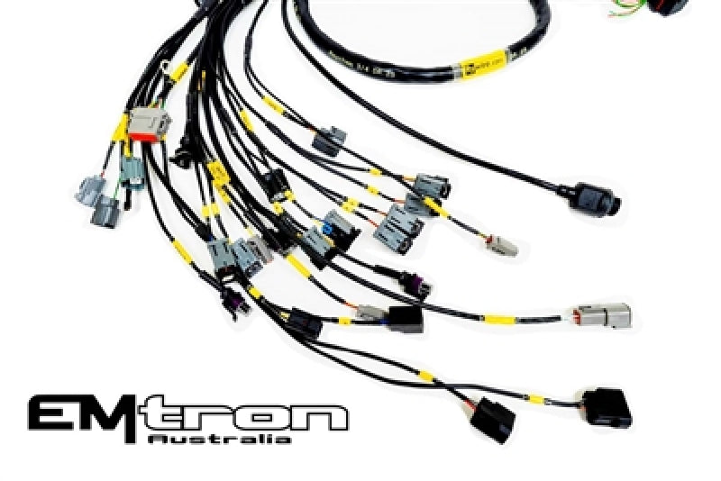 Rywire K-Serie Saugmotor mit Emtron KV8 ECU-Motorkabelbaum (mit 4 Einspritzdüsen / ohne EMAP/Boost)