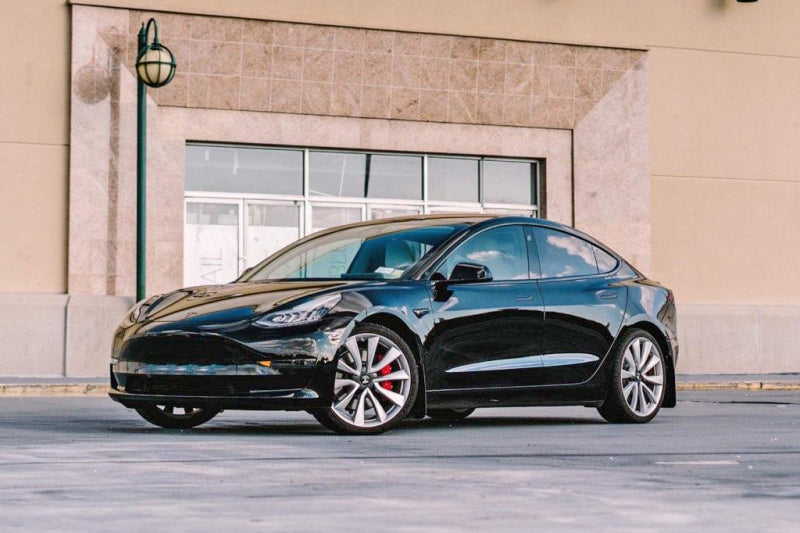 Rally Armor 17-23 Tesla Model 3 Schwarzer UR-Schmutzfänger mit blauem Logo