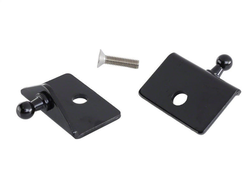 Ford Racing 05-14 Mustang Motorhauben-Lift-Kit mit lasergraviertem Ford Performance-Logo