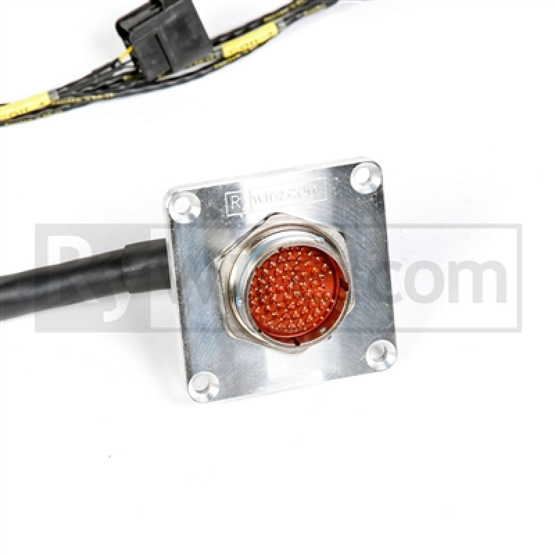 Rywire Honda F/H-Serie Mil-Spec Eng Harn mit OBD1 Dist/Inj/Alt und 92-95 Steckern (Adapter-/Steckerfarbe erforderlich)