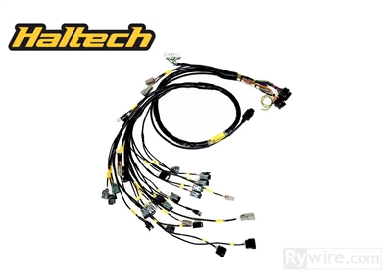 Rywire K-Serie Saugmotor mit Haltech ELITE 1500+ Motorkabelbaum (mit 4 Einspritzdüsen / ohne EMAP/Boost)