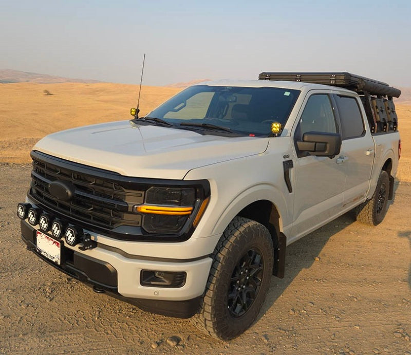 Rally Armor 21-25 Ford F-150 (außer Raptor) Schwarzer UR-Schmutzfänger mit weißem Logo