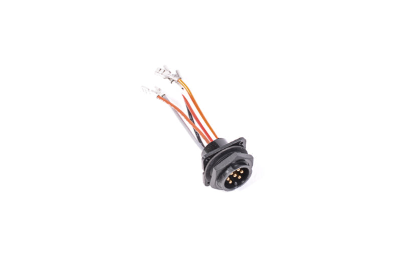 Radium Engineering Bulkead Harness Interne Dreifach-Walbro-Pumpe F90000262