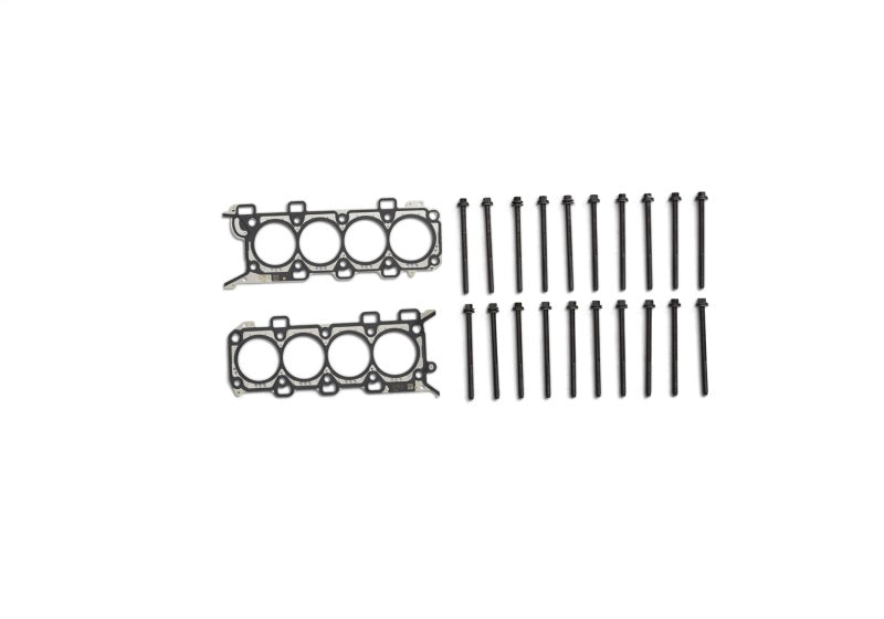 
                      
                        Ford Racing 5.4L 4V S/C Head Changing Kit
                      
                    