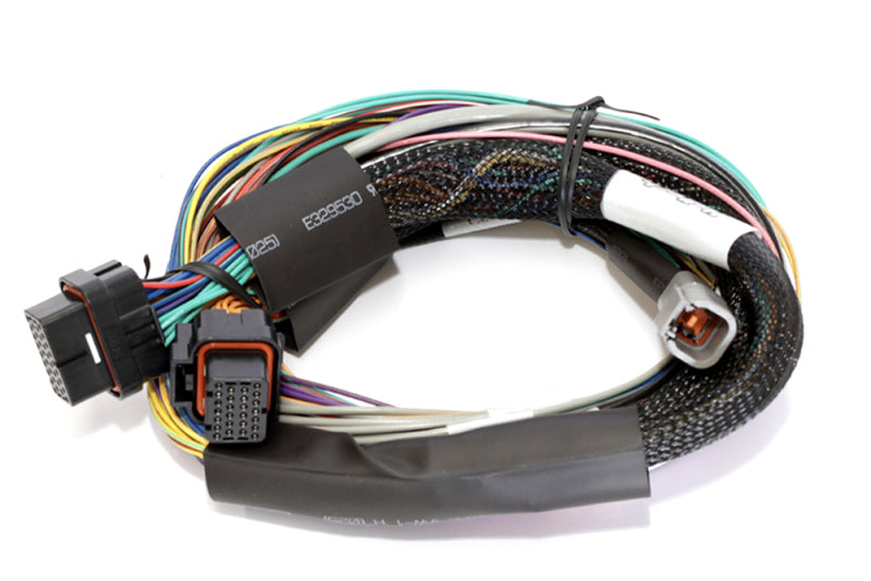 Haltech Elite 2500 8ft Basic Universal-Kabelbaum (keine Relais oder Sicherungen)