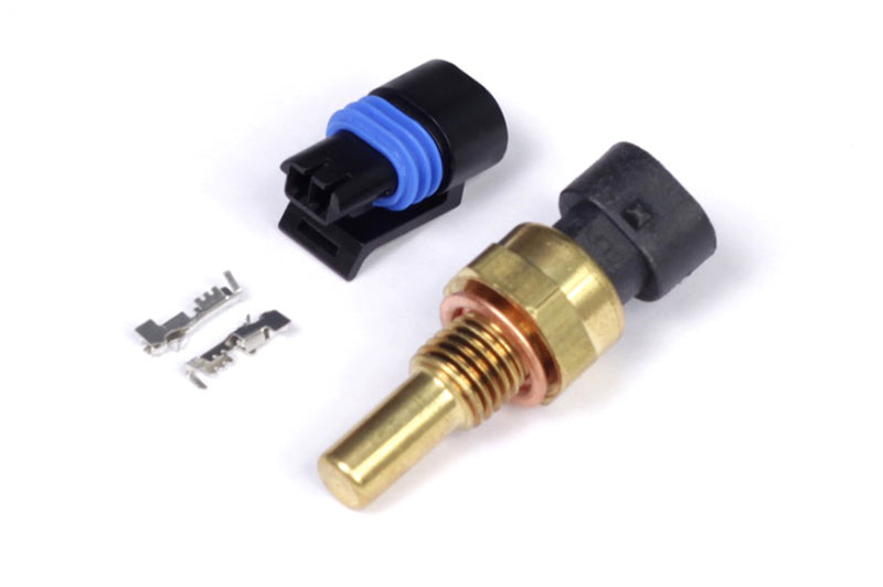 Haltech Kühlmitteltemperatursensor M12 x 1,5 (inkl. Delphi-Stecker und -Stifte)