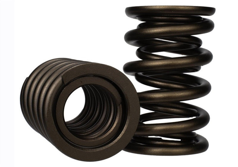 
                      
                        Ford Racing Replacement Valve Springs (TVS-1734) - Set Of 8
                      
                    