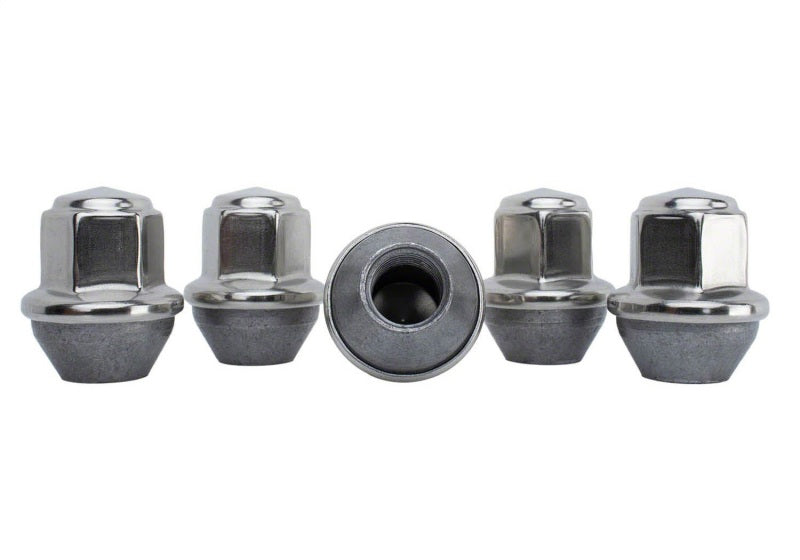 
                      
                        Ford Racing 15-16 Mustang Lug Nut Kit (5 Lug Nuts)
                      
                    