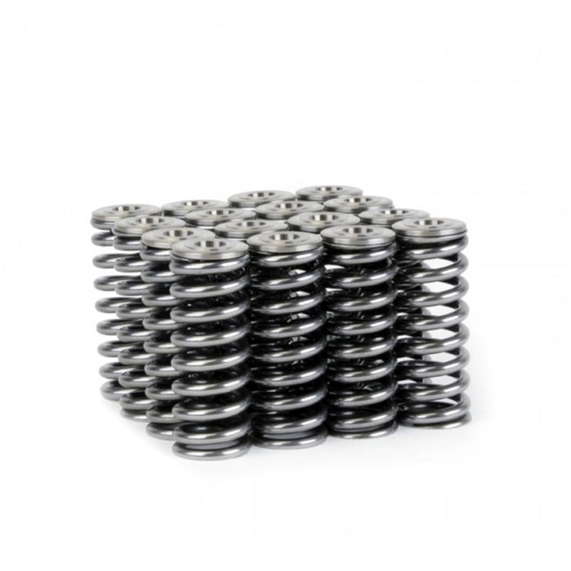 
                      
                        Skunk2 Alpha Series Honda/Acura D Series Valve Spring and Titanium Retainer Kit
                      
                    