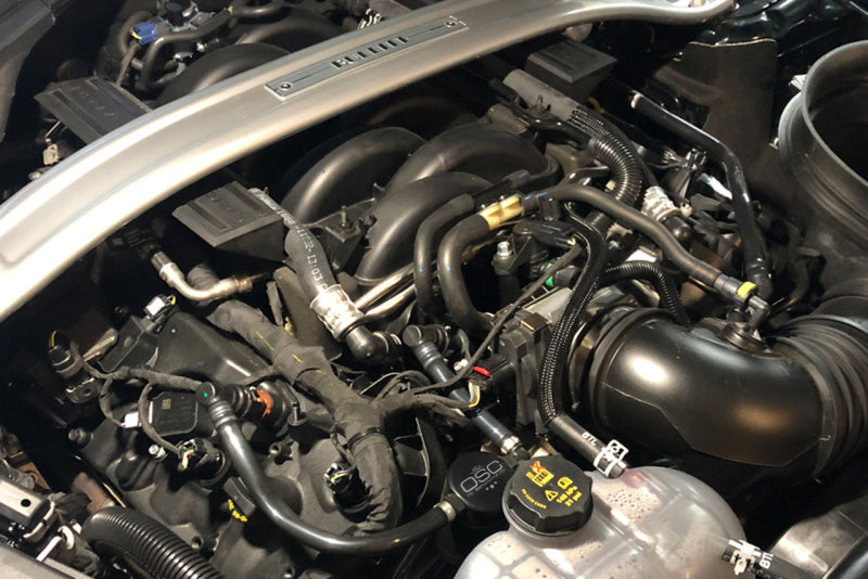 
                      
                        J&amp;L 2018–2023 Ford Mustang GT Ölabscheider 3.0 für die Beifahrerseite – Schwarz eloxiert
                      
                    