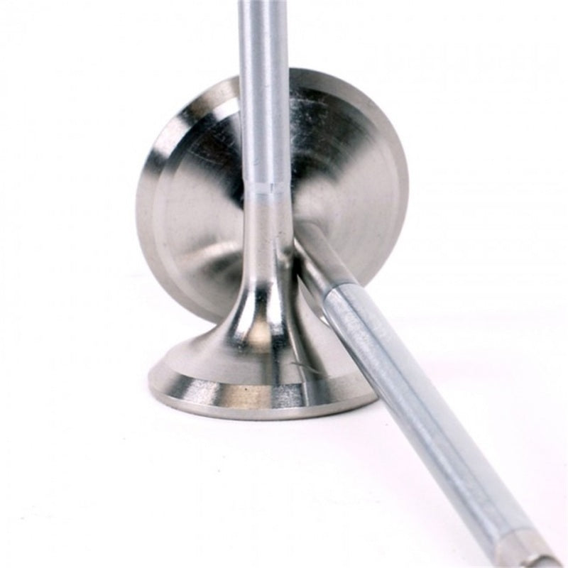 
                      
                        Skunk2 Alpha Series Honda/Acura Stock Size H Series Valve Set (Standard Compression)
                      
                    