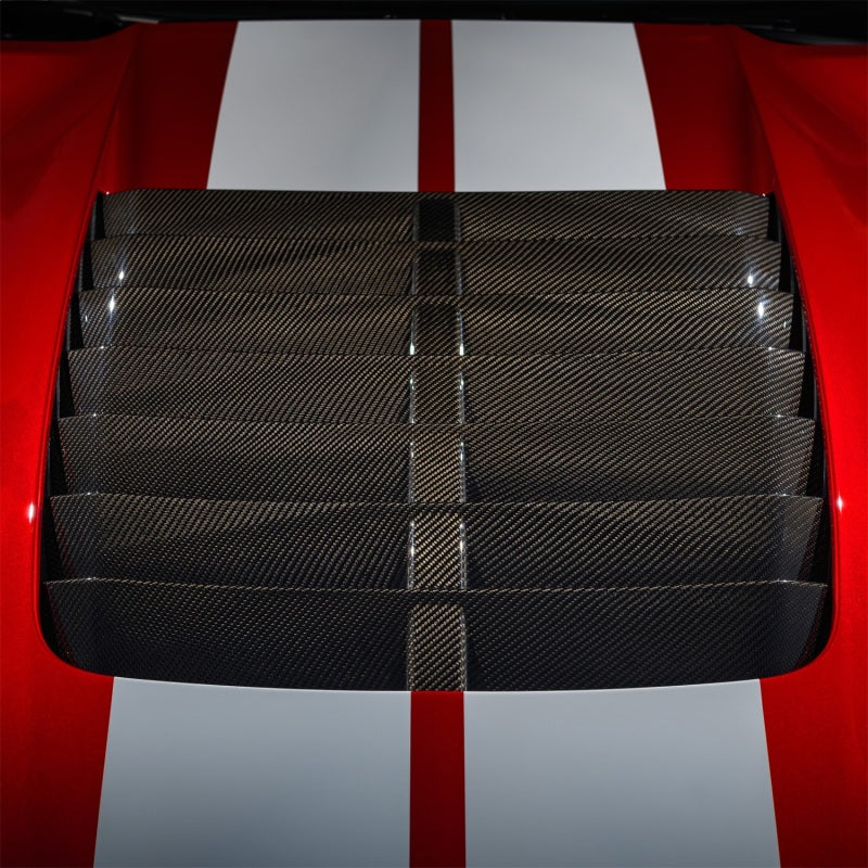 
                      
                        Ford Racing 20-22 Mustang GT500 Carbon Fiber Hood Vent Kit
                      
                    