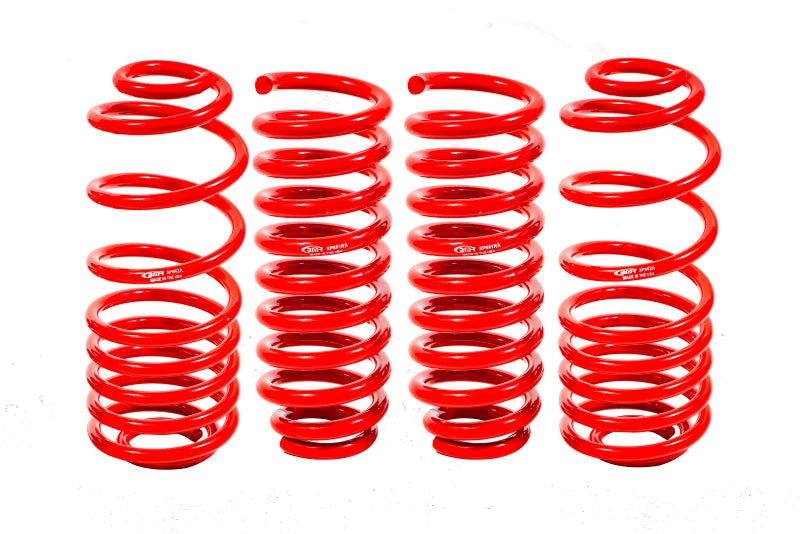 BMR 02-09 Trailblazer Untere Federn, 4er-Set, 2 Zoll-3 Zoll Drop, Rot