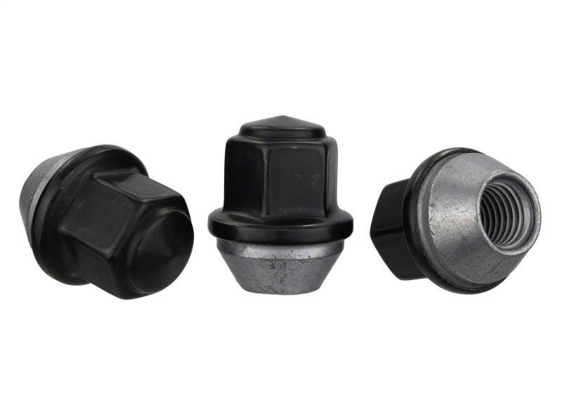 
                      
                        Ford Racing M12 x 1.5 Black Lug Nut - Set of 20
                      
                    