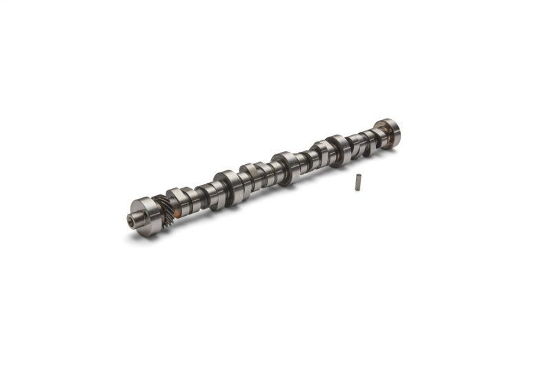 
                      
                        Ford Racing Small Block V-8 Hydraulic Roller Tappet Camshafts
                      
                    