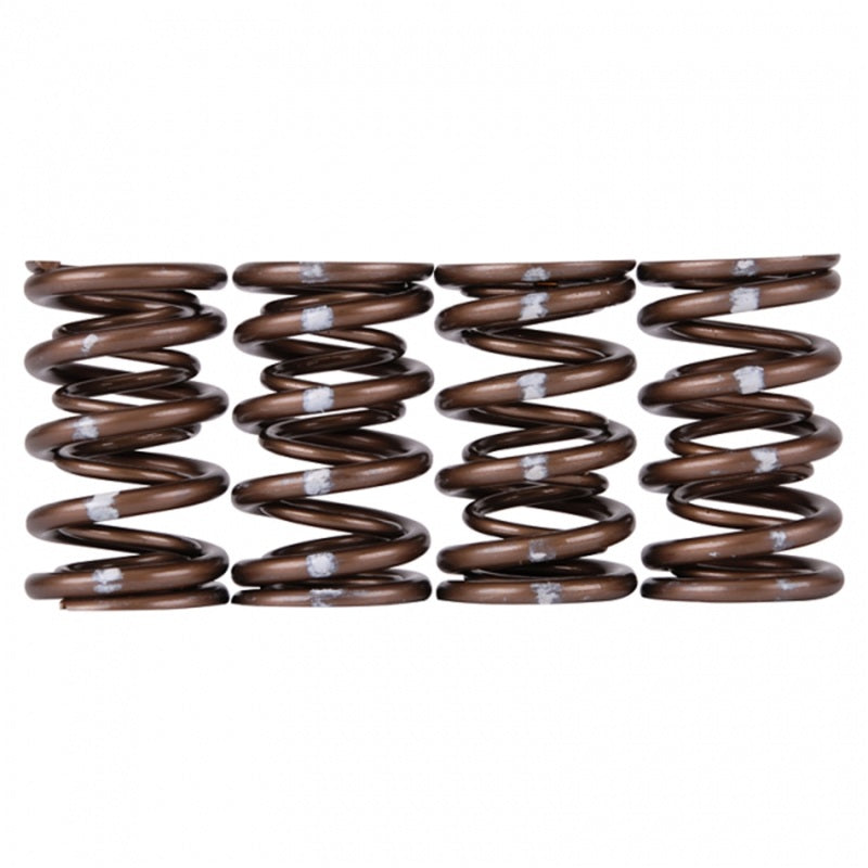 
                      
                        Skunk2 Pro Series Honda/Acura K-Series i-VTEC XP Valve Spring Set (Dual Springs)
                      
                    