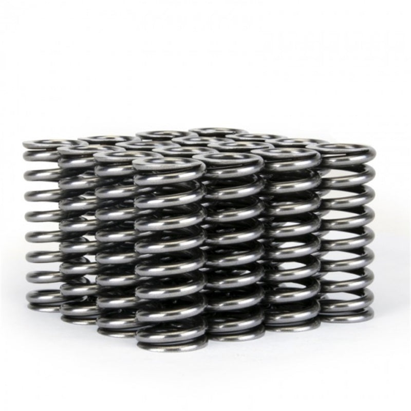 
                      
                        Skunk2 Alpha Series Honda D Series VTEC Valve Spring Set
                      
                    