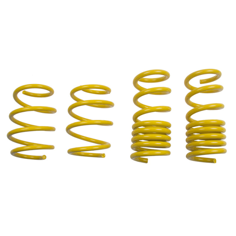 
                      
                        ST Lowering Springs Ford Mustang V8
                      
                    