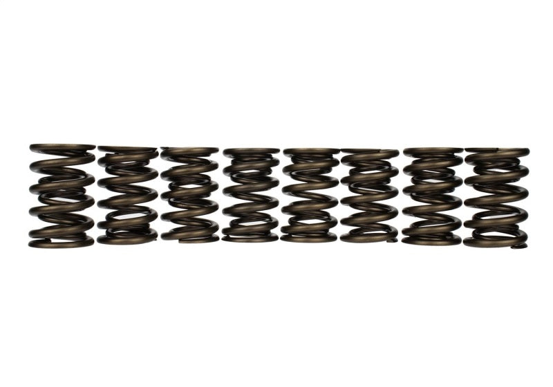 
                      
                        Ford Racing Replacement Valve Springs (TVS-1734) - Set Of 8
                      
                    
