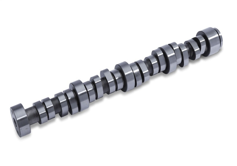 
                      
                        Ford Racing 7.3L Megazilla Hi-Performance Camshaft
                      
                    