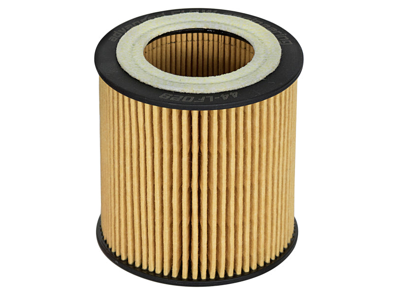 
                      
                        aFe Pro GUARD D2 Oil Filter 06-19 BMW Gas Cars L6-3.0T N54/55
                      
                    