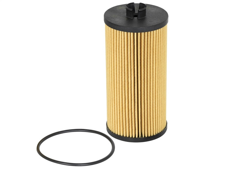
                      
                        aFe ProGuard D2 Flüssigkeitsfilter Öl F/F ÖL Ford Diesel Trucks 03-10 V8-6,4L (TD)
                      
                    