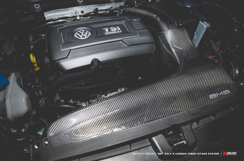 
                      
                        AMS Performance 2015+ VW Golf R MK7 Carbon Fiber Intake
                      
                    