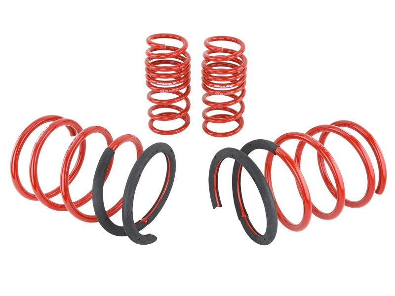 
                      
                        Skunk2 02-04 Acura RSX Lowering Springs (2.25in - 2.00in.) (Set of 4)
                      
                    