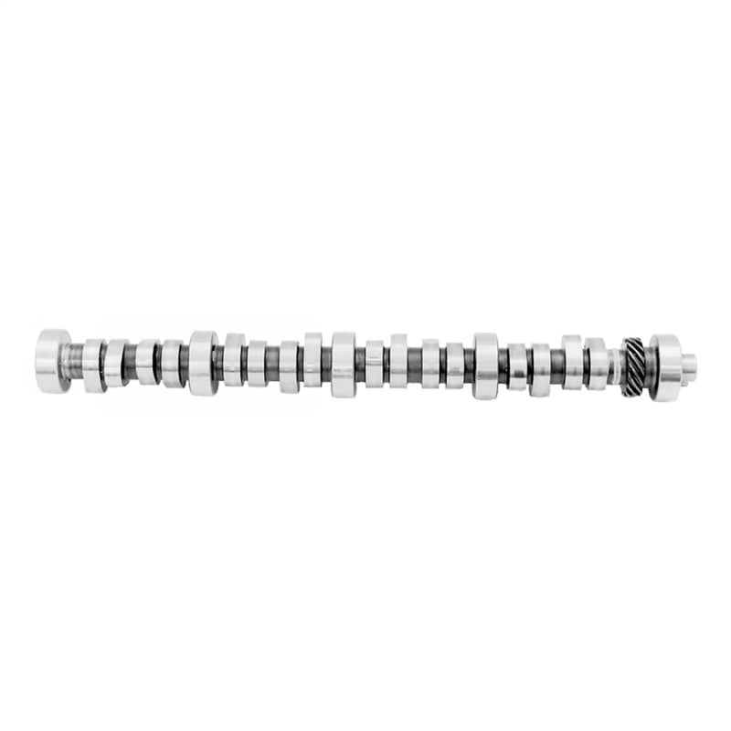 
                      
                        Ford Racing Small Block V-8 Hydraulic Roller Tappet Camshafts
                      
                    