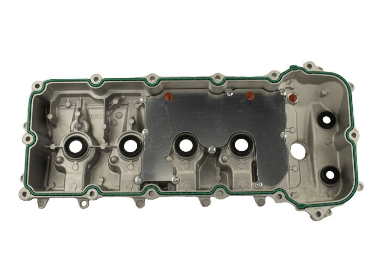 
                      
                        Ford Racing 5.0L/5.2L Aluminum Cam Cover - Pair
                      
                    