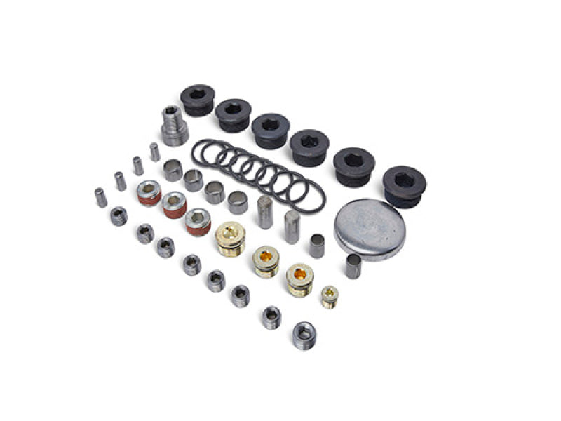 Ford Racing Block Plug and Dowel Kit (For Z Blocks)