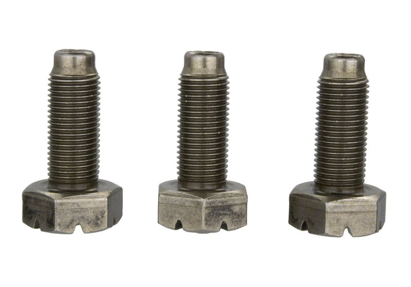 
                      
                        Ford Racing 4.6L Manual Flywheel Bolts
                      
                    