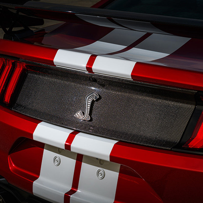 
                      
                        Ford Racing 20-22 Mustang GT500 Deck Lid Trim Panel
                      
                    