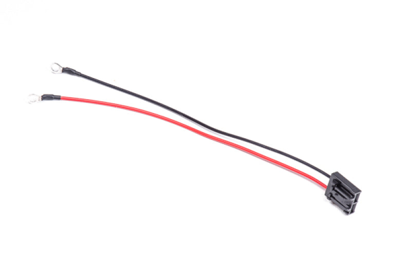Radium Engineering Interner Kabelbaum Walbro GSS-Pumpe mit Ringkabelschuhen