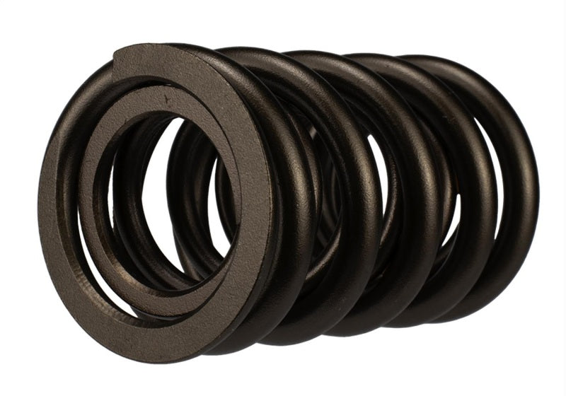 
                      
                        Ford Racing Replacement Valve Springs (TVS-1734) - Set Of 8
                      
                    