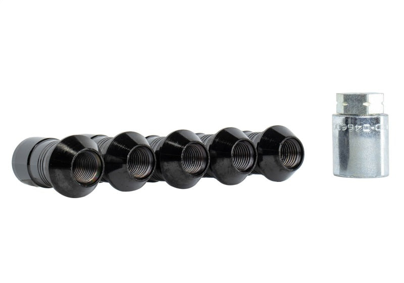 
                      
                        Ford Racing 2023+ Ford Bronco Raptor  M14 x 1.5 Black Security Lug Nut Kit - Set of 5
                      
                    