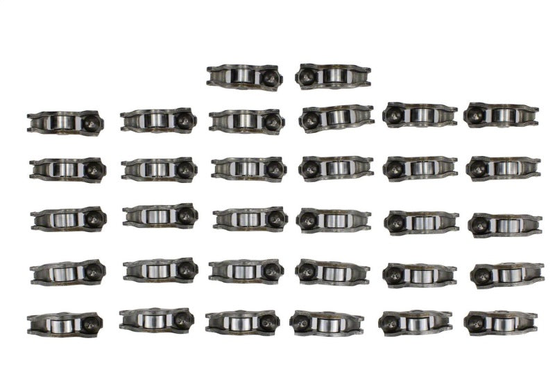 
                      
                        Ford Racing 2020 5,2 l Predator Rollenschlepphebel-Kit
                      
                    