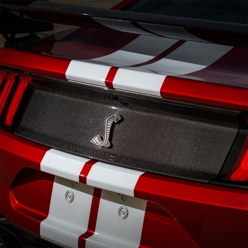 
                      
                        Ford Racing 20-22 Mustang GT500 Deck Lid Trim Panel
                      
                    