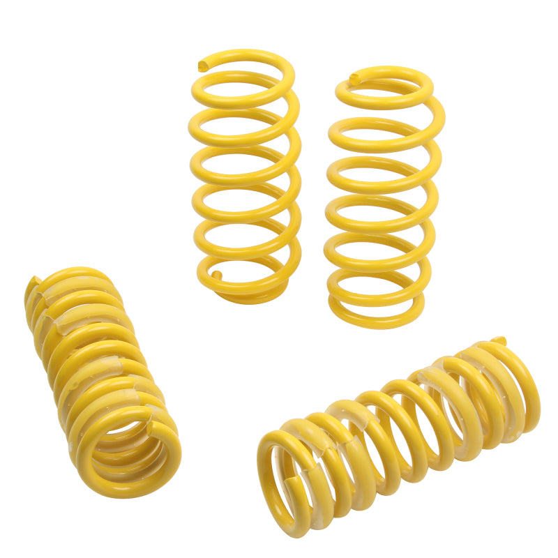 
                      
                        ST Sport-tech Lowering Springs Chrysler 300C 2WD / Dodge Charger Magnum
                      
                    